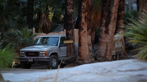 Truck next to Palm Trees Stock Footage 47394444