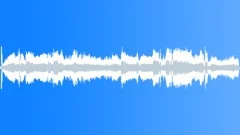 TRUCK, PICK UP, FORDSound Effect