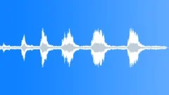 TRUCK, PICK UP, FORD Sound Effect
