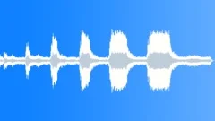 TRUCK, PICK UP, FORDSound Effect