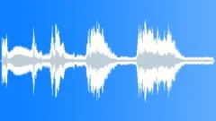 TRUCK, PICK UP, FORD Sound Effect