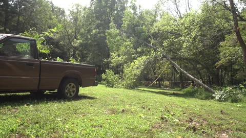 Truck Pulls Down Tall Tree Stock Footage 148162803