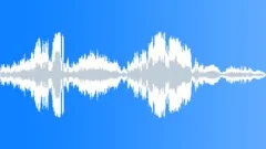 TRUCK, RACE Sound Effect