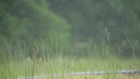 Truck in the rain Stock Footage 86757478