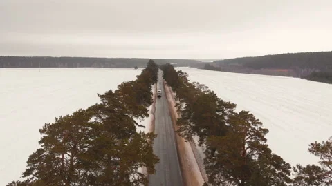 Truck on the road Stock Footage 103333554