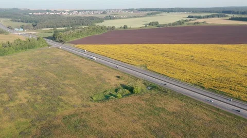 Truck on the road. Vidéo 113690570