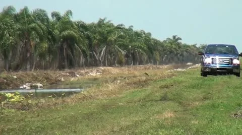 Truck splashes through mud - twice 库存影片 11288734
