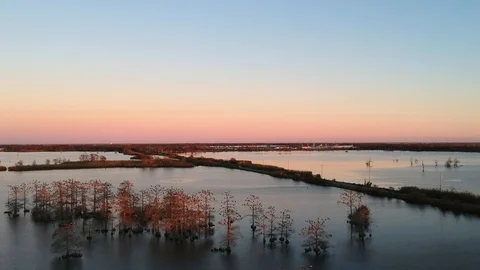 Truck with trailer crossing road between bodies of water deep in the bayou Stock Footage 101601720