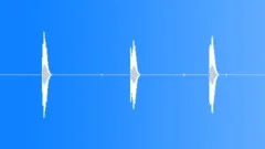 TRUCK, TRANSPORTSound Effect