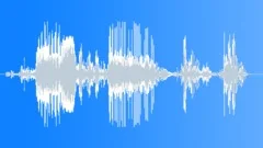 Truck, TransportSound Effect