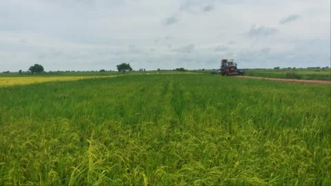 Truck Transporting Heavy Harvester Machine On Dirt Road Beside Rice Field 4K Stock Footage 346725432