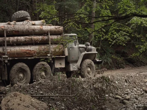 Truck transports timber off-road Stock Footage