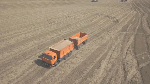 A truck with two trailers loaded with wheat, traveling across field Stock Footage 64258340
