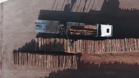 Truck Unloading And Piling Logs At Sawmill. aerial topdown shot Stockbeeldmateriaal 264632371