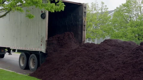 Truck unloading large pile of fresh mulch in residential neighborhood. Lawn care Stock Footage 335958851