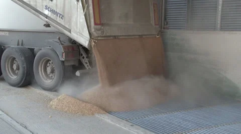Truck unloading wheat in a silos Vidéo 36790178
