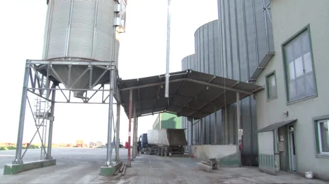 Truck unloading wheat in silos Видео 36791987