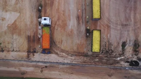A truck unloads a container of fruit Stock Footage 167734676