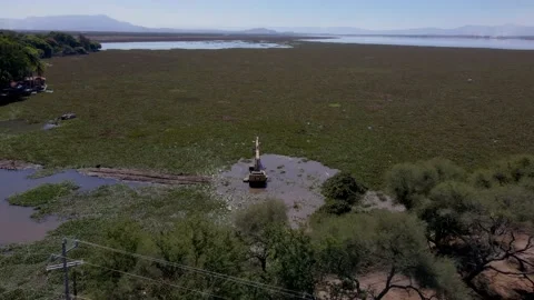Truck worker Stock Footage 147688885