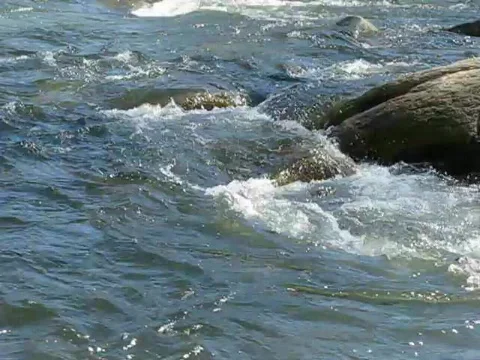 TRUCKEE RIVER  Видео 405295