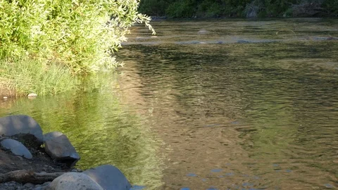 Truckee River Stockbeeldmateriaal 92705622