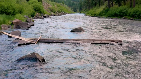 Truckee River Rapids Sierra Nevada Tahoe National Forest Summer Drone Stock Footage 185683993