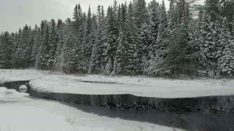 Trucking shot of a Ontario wilderness park in winter Stock Footage 59298701