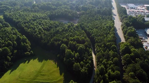 Trucks and Trees Video stock 92694381