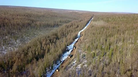 Trucks drive on a forest road Stock Footage 168342191