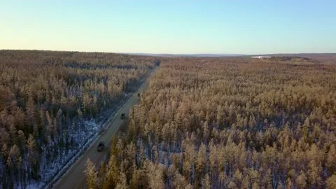 Trucks drive on a forest road Stock Footage 168342212