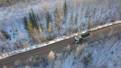 Trucks drive on a forest road Stock Footage 168342234