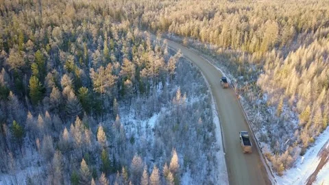 Trucks drive on a forest road Stock Footage 168342266