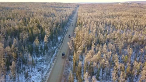 Trucks drive on a forest road Stock Footage 168342290
