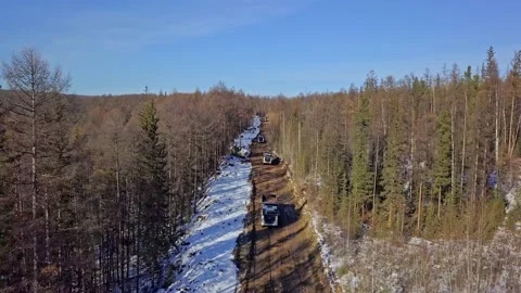 Trucks drive on a forest road Stock Footage 168342319