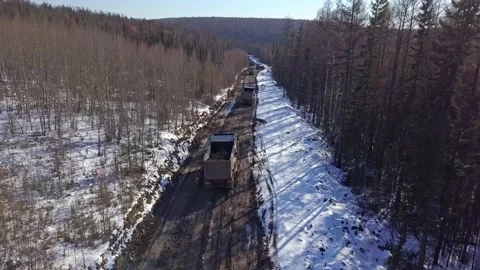Trucks drive on a forest road Stock Footage 168342369