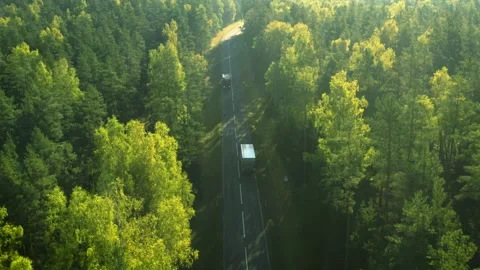 Trucks going forest road, drone aerial view, green lush woods Stock Footage 287943596