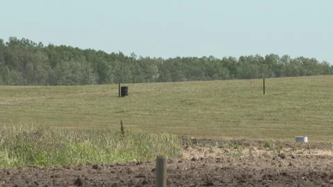 Trucks Gone Wild Event to Return in 2024... | Stock Video | Pond5