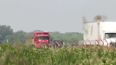 Trucks on the Highway Vídeo Stock 5745724