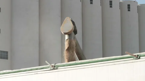 Trucks loading cereal seeds. Stock Footage 27482630