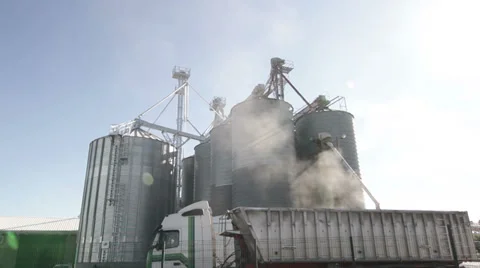 Trucks loading cereal seeds. Stock-Footage 27484520