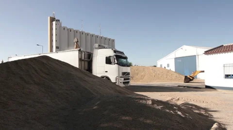 Trucks loading cereal seeds. Stock Footage 27487018
