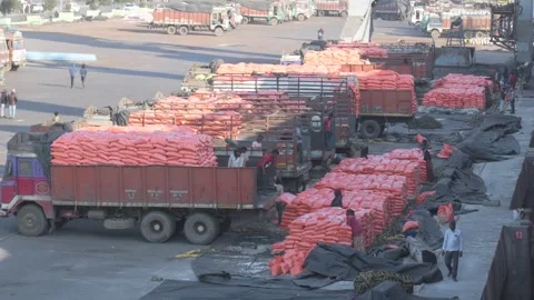 Trucks offloading rice bags on stretched cargo net Video stock 295569349