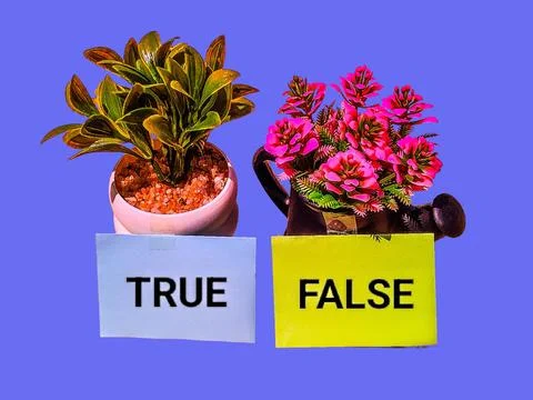 True and false concept with artificial trees and words Stock-Fotos