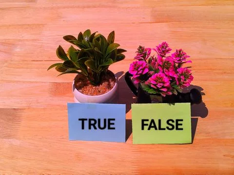 True and false concept Stock-Fotos