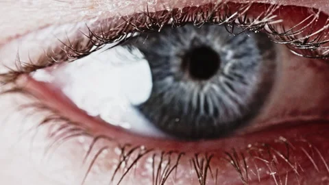 True crime concept of a human eye staring directly at the viewer while lights Stock Footage 335209238