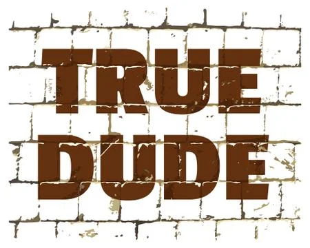 True Dude printed on stylized brick wall. Textured humorous inscription. Vect イラスト素材
