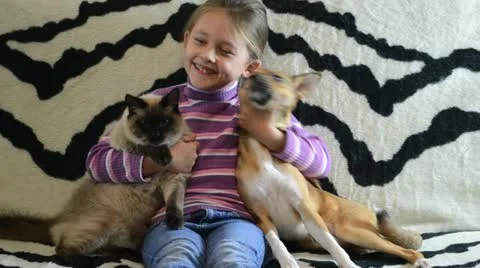 True friendship Stock Footage 12448957