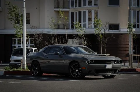 True muscle Stock Photos