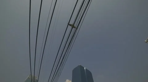 TRUE Office Video stock 48617239