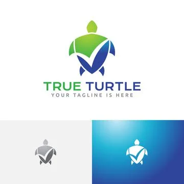 True Valid Checked Turtle Shell Business Logo Stock Illustration